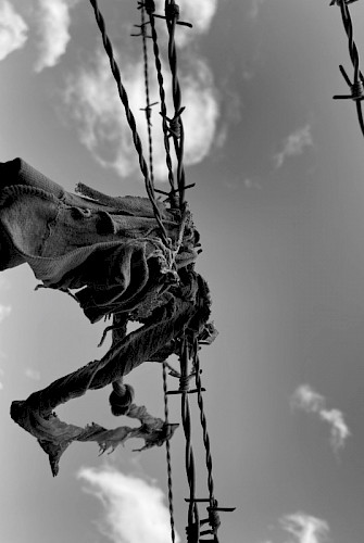 „Freedom“ 2021 s/w Fotografie Barytpapier 80x120 cm auf Aludibond