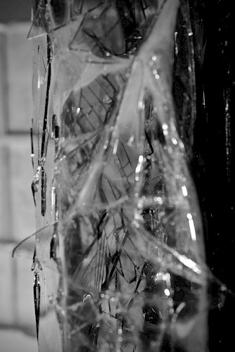 "№12" 2019 s/w Fotografie Barytpapier auf Aludibond 80x120 cm aus der Serie